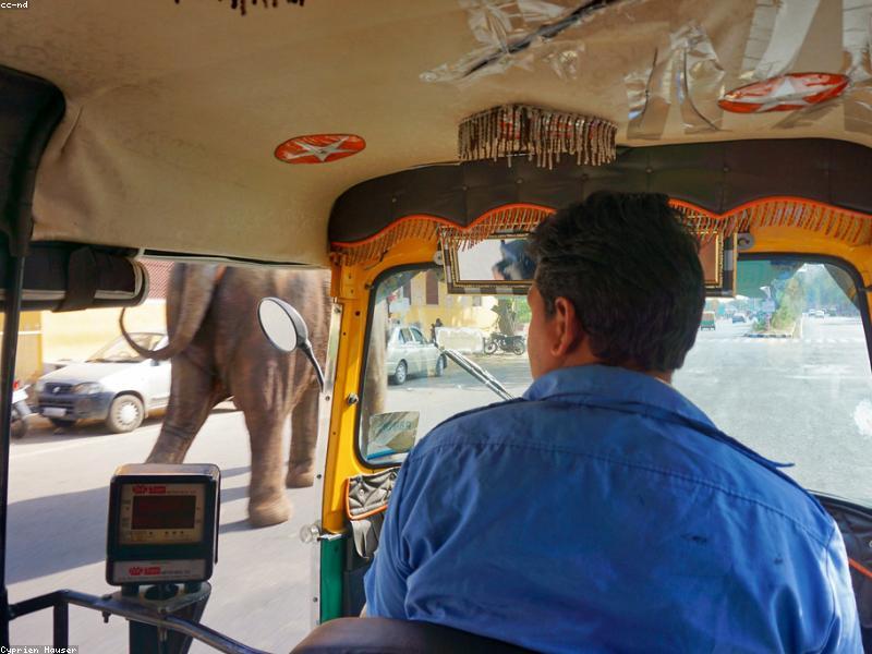 Interior of an auto-rickshaw